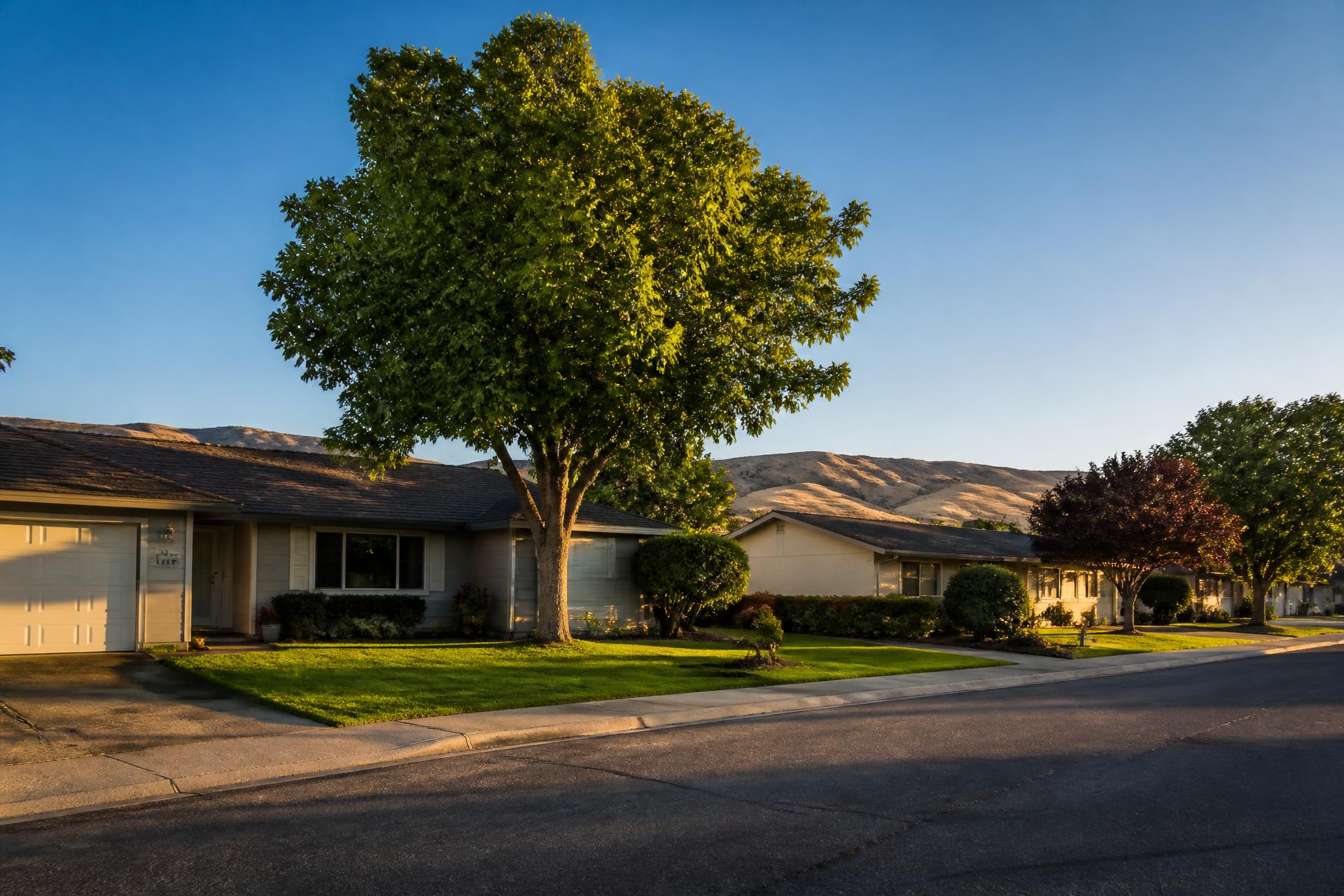 Sunlit street of single-story homes with mature trees and dry hills behind, in a Tri-Cities Washington neighborhood